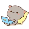 MOCHIS CAT Extra"N" MOV 12