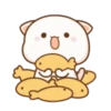MOCHIS CAT Extra"N" MOV 14