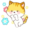 🧡Orange Cat Mov.🐱 16