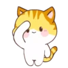 🧡Orange Cat Mov.🐱 17