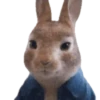 Peter Rabbit(movie) Mov 19