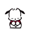POCHACCO 19