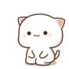 MOCHIS CAT Extra"N" MOV 15