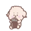 Capuchino & White     Mov 17