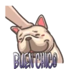 Perritos Chistosos  Mov 17