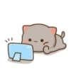 MOCHIS CAT Extra"N" MOV 16