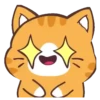 Cat Wow    Mov 11