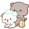 MOCHIS CAT Extra"Ñ" MOV 21