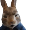 Peter Rabbit(movie) Mov 20