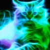 Gatos Neon - 4 Mov.1712 21