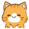 Cat Wow    Mov 12
