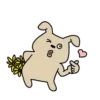 FuNnY DoG 18