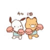 POCHACCO 20