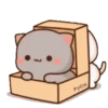 MOCHIS CAT Extra"P" MOV 19