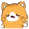 Cat Wow    Mov 13