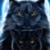 Gatos Neon - 4 Mov.1712 22