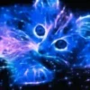 Gatos Neon - 4 Mov.1712 23
