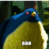 Shrek Mov 24
