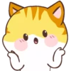 🧡Orange Cat Mov.🐱 18