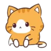 Cat Wow    Mov 14