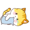 🧡Orange Cat Mov.🐱 19