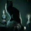 Gatos Neon - 4 Mov.1712 24