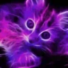 Gatos Neon - 4 Mov.1712 25