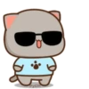 MOCHIS CAT Extra"P" MOV 21
