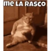 me LA RASCO