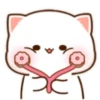 MOCHIS CAT Extra"N" MOV 21