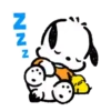 POCHACCO 21