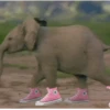 Animales tiernos 26