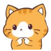 Cat Wow    Mov 15