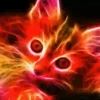 Gatos Neon - 4 Mov.1712 27