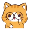 Cat Wow    Mov 16