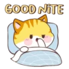 🧡Orange Cat Mov.🐱 22
