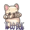 Perritos Chistosos  Mov 24
