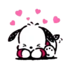 POCHACCO 23