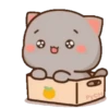 MOCHIS CAT Extra"P" MOV 23