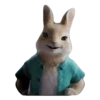 Peter Rabbit(movie) Mov 25