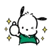 POCHACCO 24