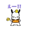 POCHACCO 25