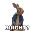 Peter Rabbit(movie) Mov 26