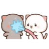 MOCHIS CAT Extra"P" MOV 24