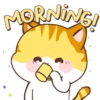 🧡Orange Cat Mov.🐱 23