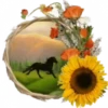 Buenos días 4   3MOV 27