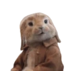 Peter Rabbit(movie) Mov 28