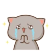MOCHIS CAT Extra"Ñ" MOV 24