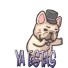 Perritos Chistosos  Mov 26