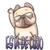 Perritos Chistosos  Mov 28
